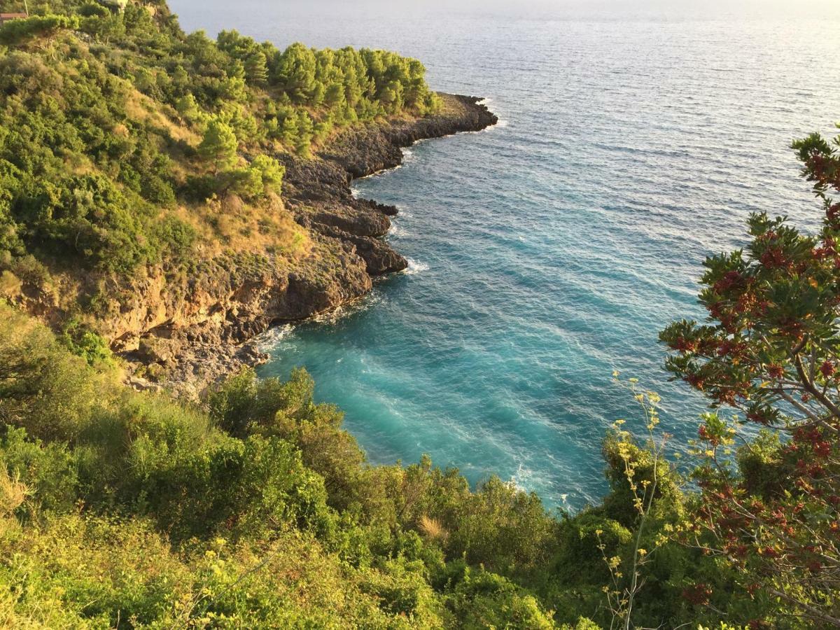 Fili D'Erba Cilento Villa Villammare Buitenkant foto